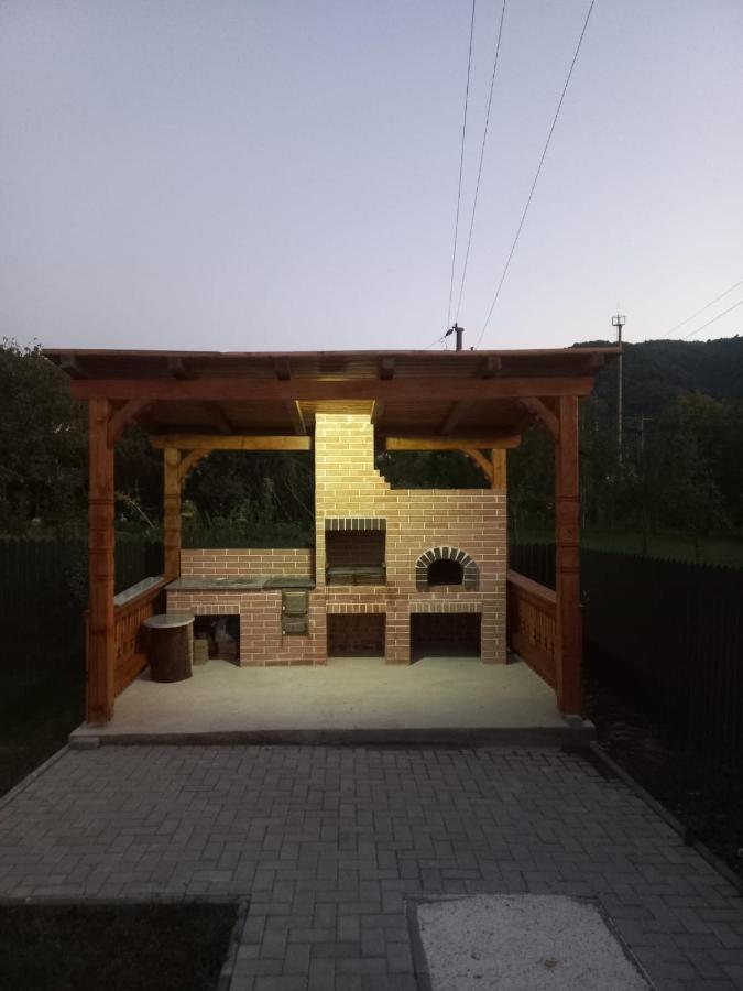 Vişeu de Sus Casa Edy 빌라 외부 사진