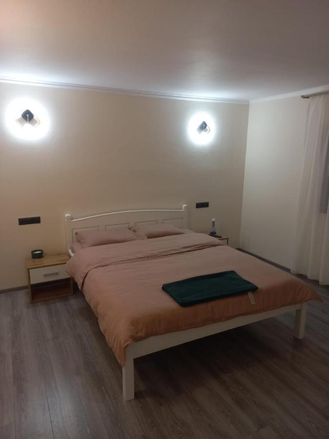 Vişeu de Sus Casa Edy 빌라 외부 사진